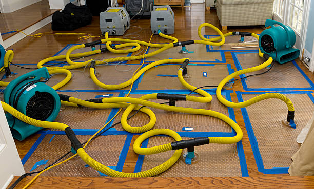 Professional Water Extraction technician working in Auburn, CA